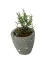 Product image 3 of the product “Planter, round, smooth, natural stone (Basanite), stonemasonry ”